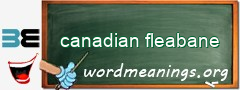 WordMeaning blackboard for canadian fleabane